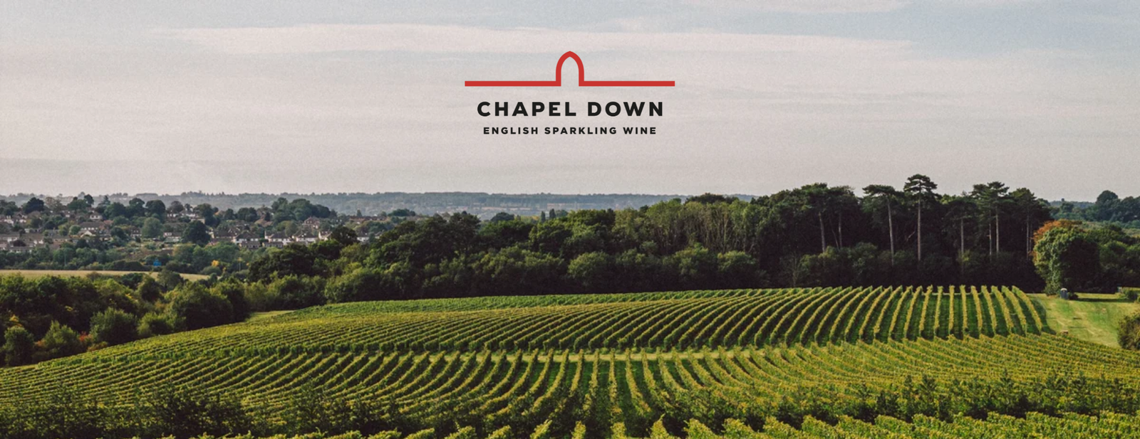 Chapel Down case study banner